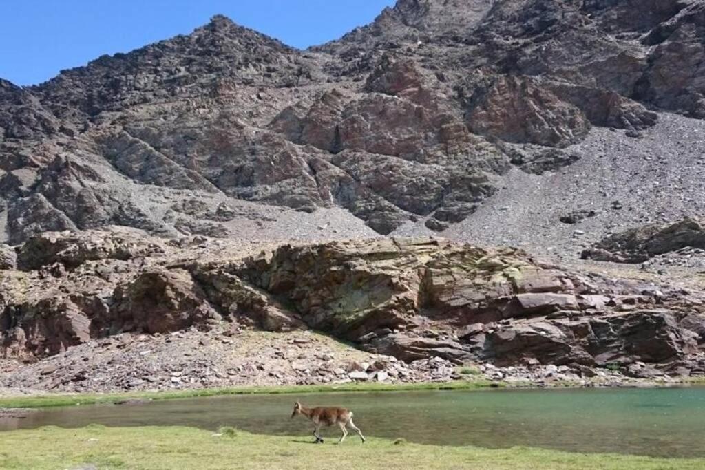 Willa Casa La Solea. Vistas Al Pueblo Y La Sierra Bubión Zewnętrze zdjęcie